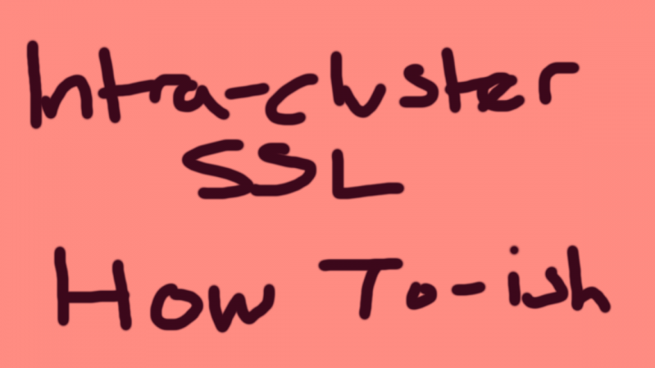 How to do intra-cluster SSL